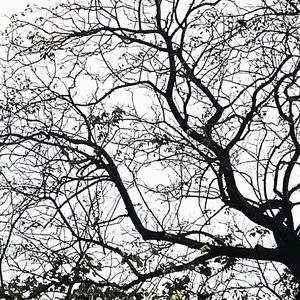 [FREE]眼泪丨Rnb X Emo Type Beat