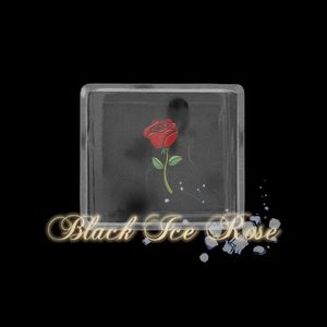 伤疤与蝴蝶（Prod.By 4Hunnid）