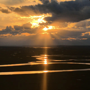 你以为你是她的宝