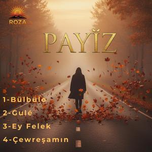 Çewreşamın (2026 Kurdish Folk Fusion)