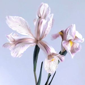 小城夏天（ cover LBI利比）