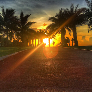 猫一样的女子（试唱版）