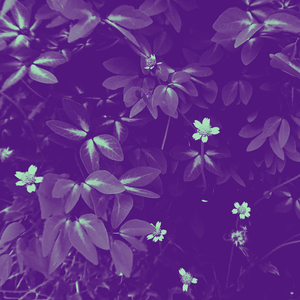 อยากขอบคุณเธอ (ที่ยังอยู่ด้วยกัน) [Speed Up]