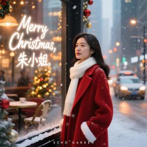 Merry Christmas 朱小姐