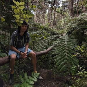 raindrops (slowing down)