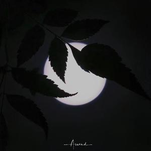 告别（Prod.No Birthday）