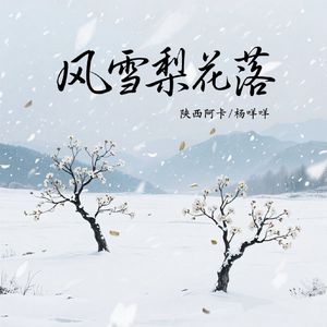 风雪梨花落