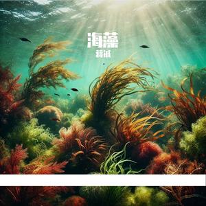 海藻