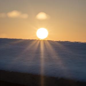 樱花雨中的重逢