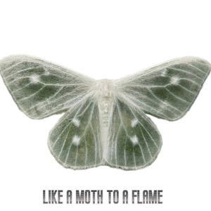 蛾pt.(Prod.Eee.T&Bickyboy）