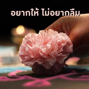 อยากให้ ไม่อยากลืม