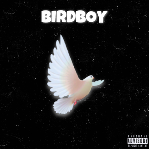 BirdBoy