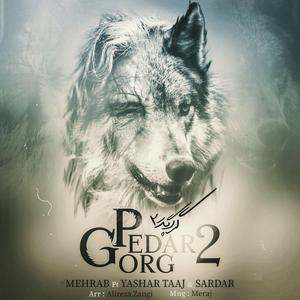 Gorg Pedar 2 (feat. Yashar Taaj & Sardar)