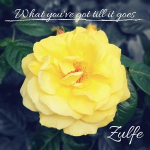 What You've Got Till It Goes