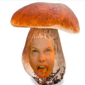 Shroomosław (Ostrosłupy) (feat. Jacek Szczyt)