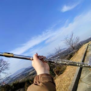 記憶の木漏れ日