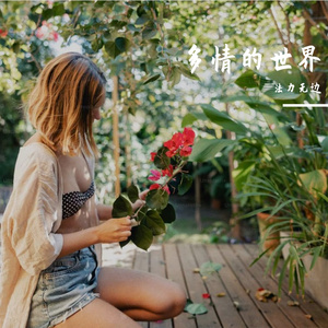 多情的世界