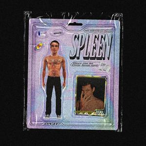 SPLEEN