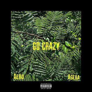 Go crazy (feat. ASEBA)