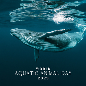 Nature Communication