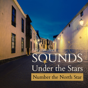 Twilight Hues and Distant Lights