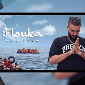 FLOUKA