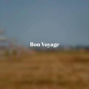 Dreamland Last Night