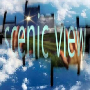 Cut The Birch Tree Down