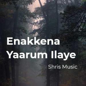 Enakkena Yaarum illaye