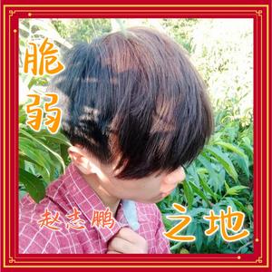 脆弱之地 (伴奏)