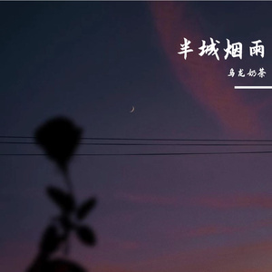 半城烟雨