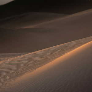 巴别塔下的低语