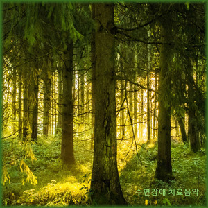 수면장애 치료음악