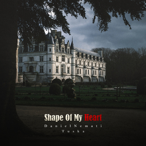 Shape of My Heart