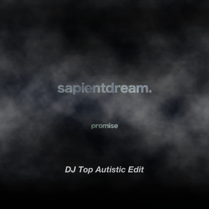 sapientdream-Promise (DJ Top Autistic Edit)（DJ Top remix）