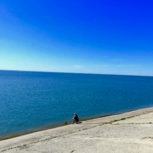 Честное И Чистое