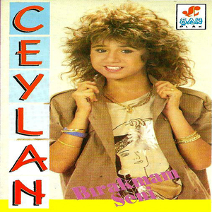 Ayırdılar Sevenleri