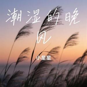 潮湿的晚风