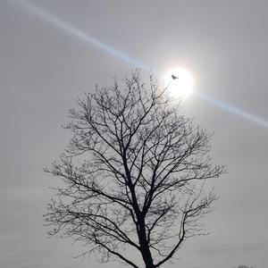 Ein Rinnsal wird fließen