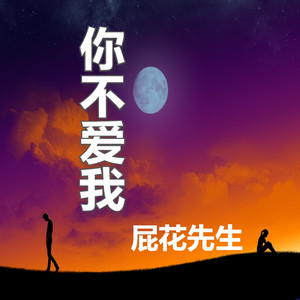你不爱我
