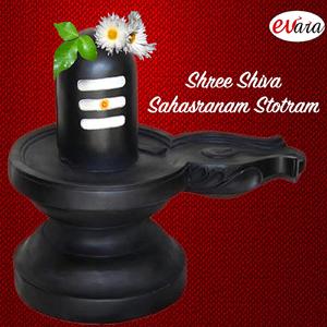 Shree Shiva Sahasranama Stotram