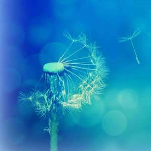 Back to twelve years ago