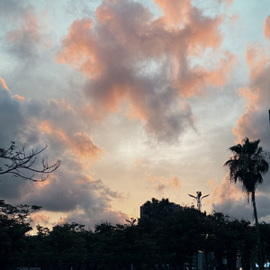 真空参照