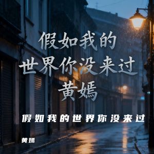 假如我的世界你没来过