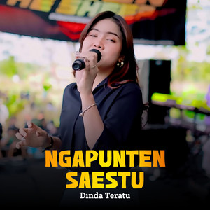 Ngapunten Saestu (Preview)