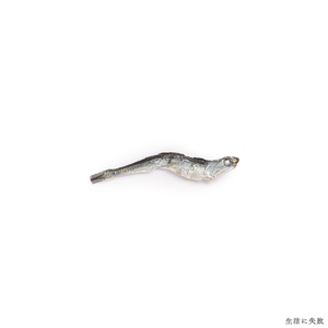 大仙古墳のえかきうた