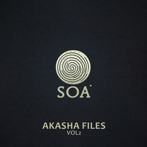 Transhumaniam (Original Mix)