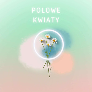Polowe Kwiaty