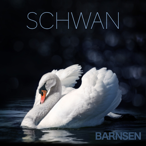 Schwan