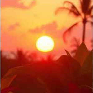 Happy Wife Happy Life